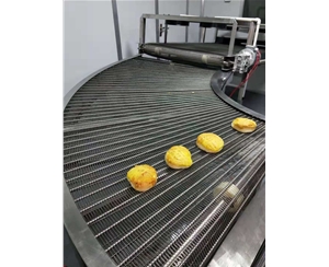南京食品网带转弯机
