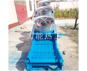 南京链板提升机