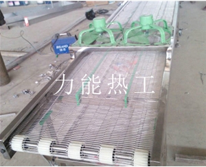 南京乙字网输送机